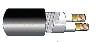 Cáp chống cháy chống nhiễu LS Vina 2x1.5mm² chính hãng
