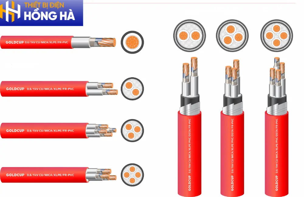 Ưu đãi đặc biệt khi mua sỉ tại Hồng Hà