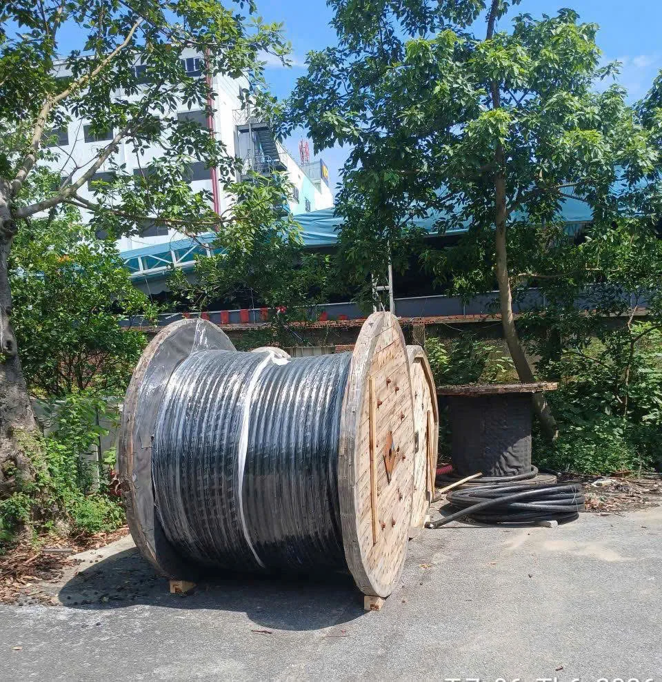 Cáp điện trung thế 12.7/22(24) hoặc 12/20(24)kV CXV/DATA/CTS-W 1x gồm 1 lõi dẫn bằng đồng
